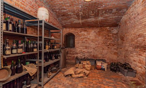 Cantina vini